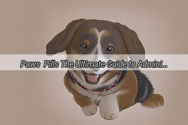 Paws  Pills The Ultimate Guide to Administering Amoxicillin to Your Furry Friend